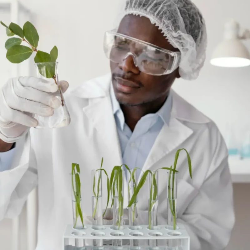 Ingénieur Agroalimentaire et Agronome