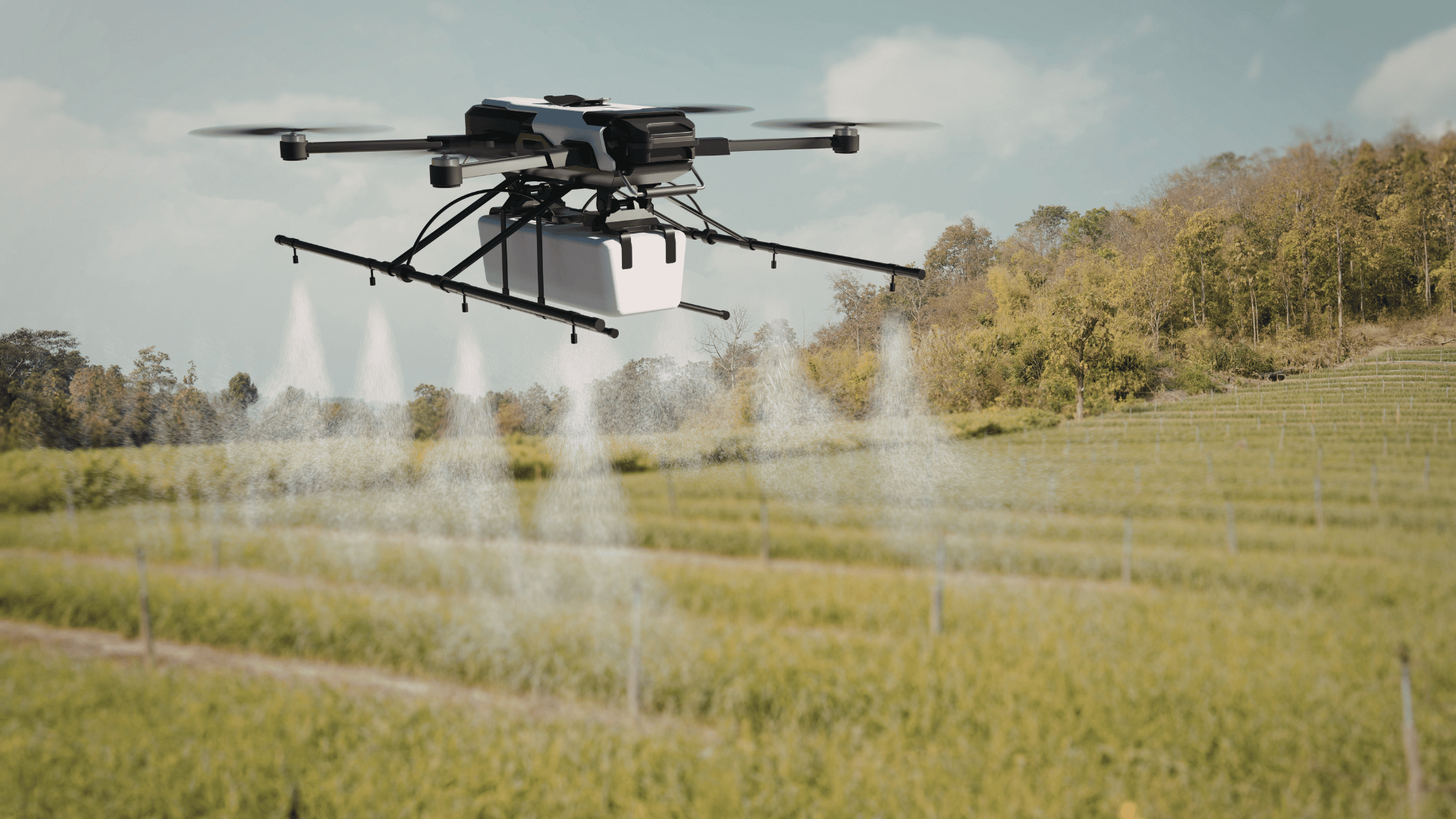 Agriculture moderne au Sénégal : innovations, métiers et opportunités d’avenir