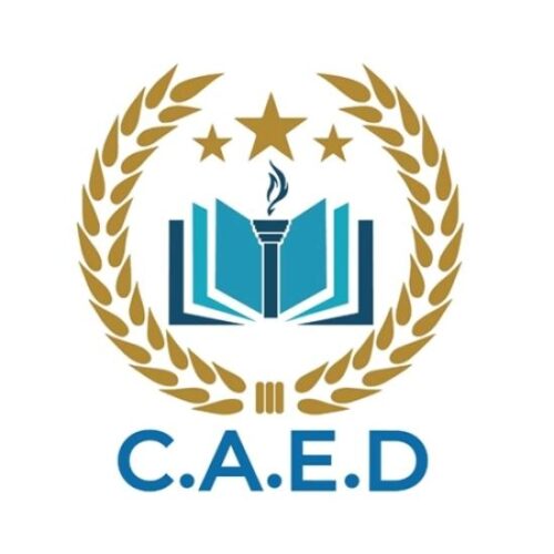 CAED – Consortium Africain pour l’Excellence Développement
