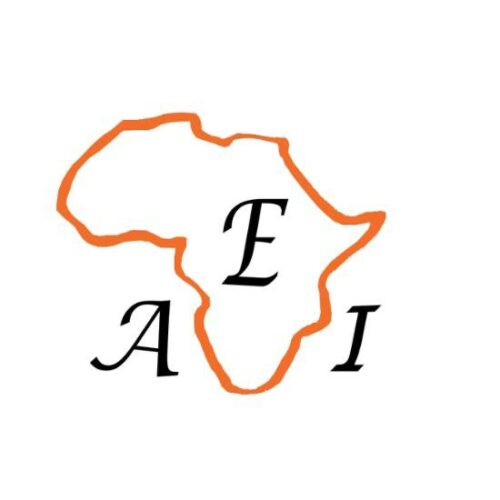 AEI – African Excellence Institute
